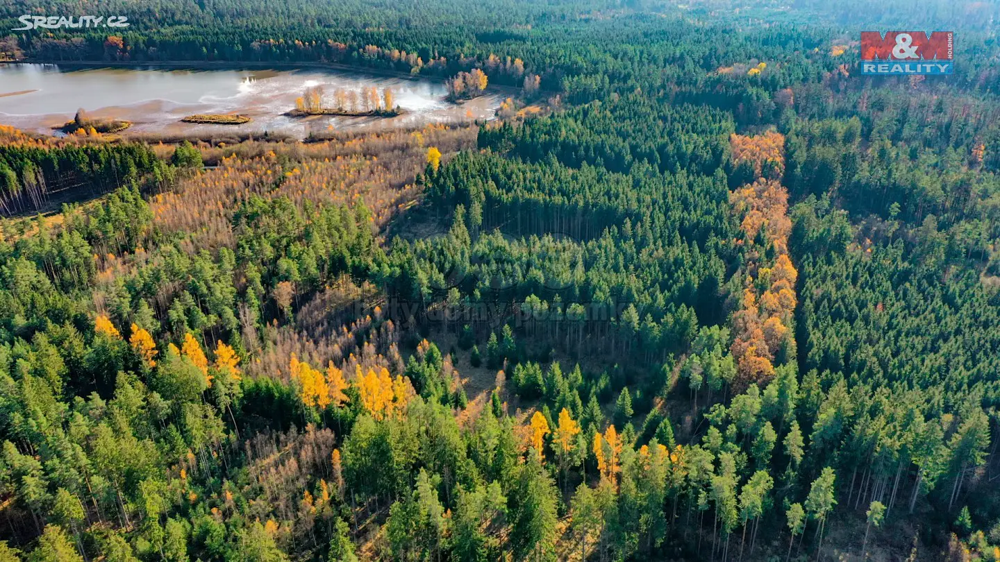 Prodej  lesa 6 687 m², Suchdol nad Lužnicí - Hrdlořezy, okres Jindřichův Hradec