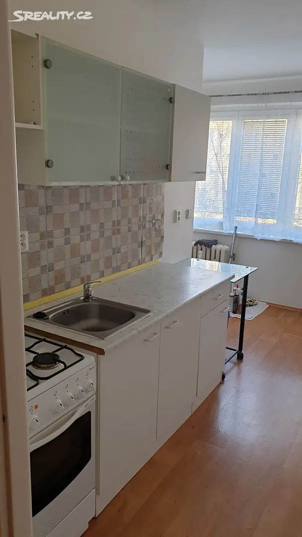 Pronájem bytu 1+1 40 m², Rodinná, Plzeň - Lobzy
