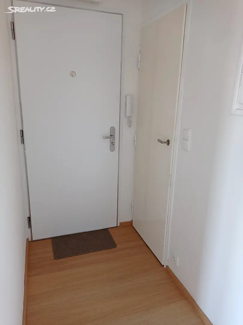 Pronájem bytu 1+kk 30 m², Praha 4 - Nusle