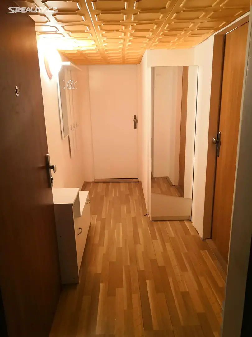 Pronájem bytu 1+kk 25 m², Špitálka, Brno - Brno-střed
