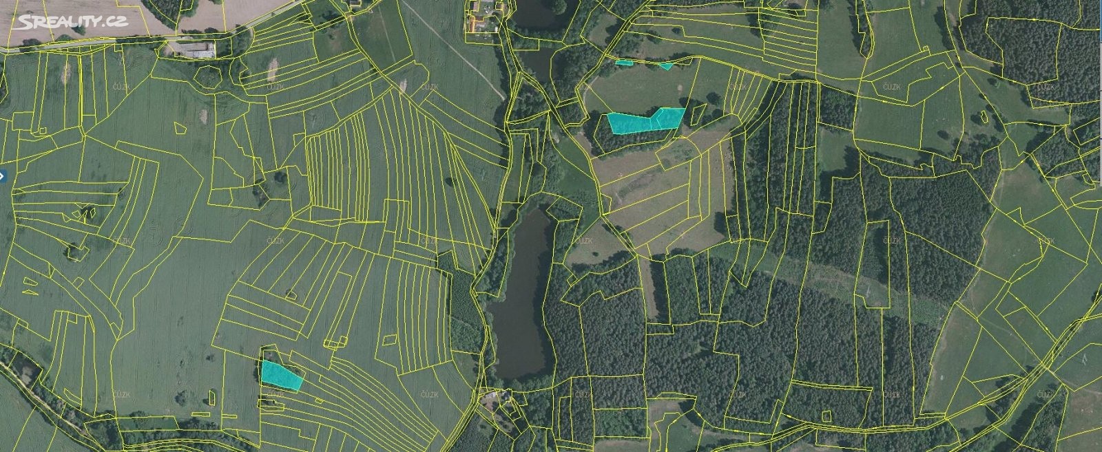 Prodej  lesa 6 645 m², Kovářov - Vepice, okres Písek