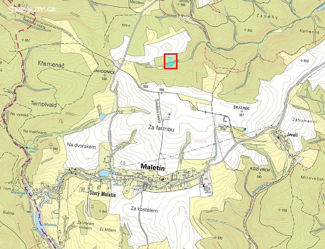 Prodej  lesa 4 333 m², Maletín - Starý Maletín, okres Šumperk
