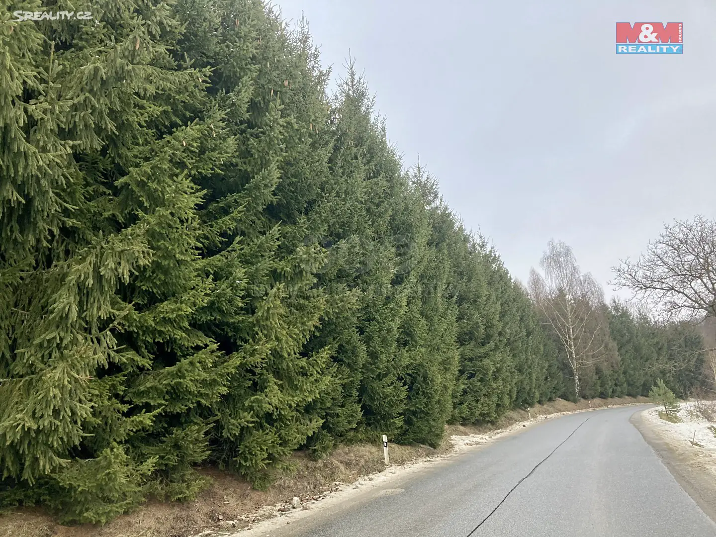 Prodej  lesa 3 724 m², Plavy - Haratice, okres Jablonec nad Nisou