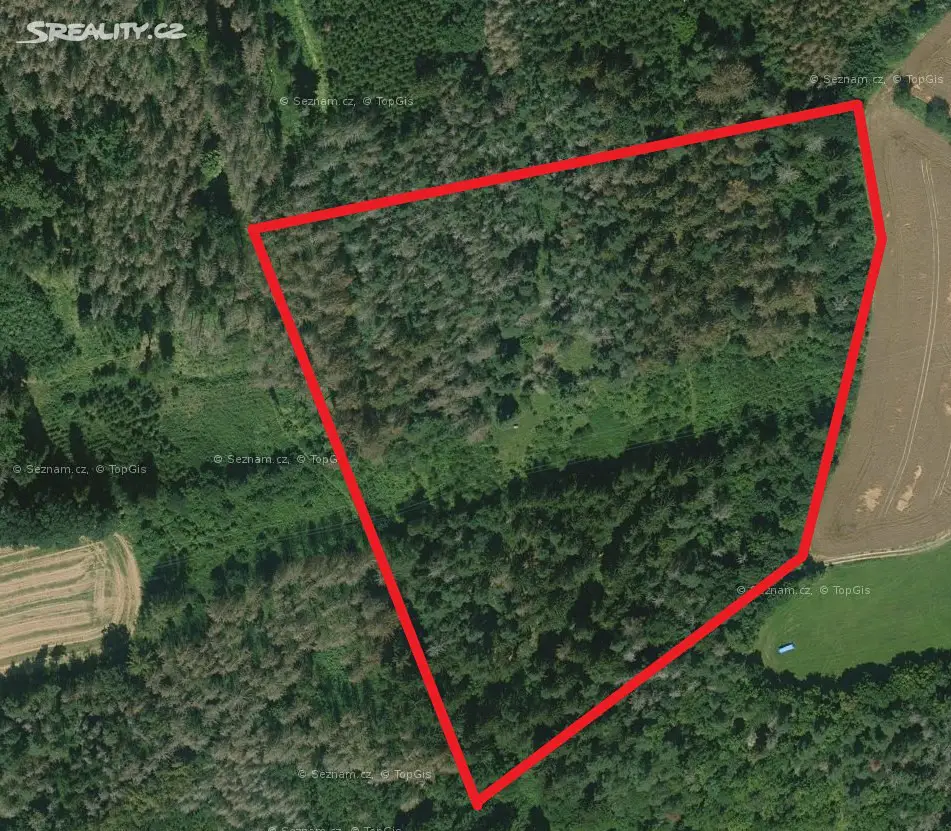 Prodej  lesa 3 281 m², Velká Bíteš - Pánov, okres Žďár nad Sázavou