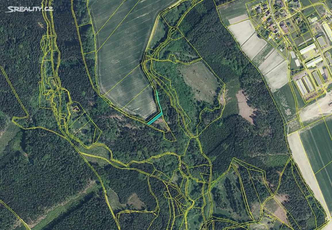 Prodej  lesa 659 m², Brzice, okres Náchod