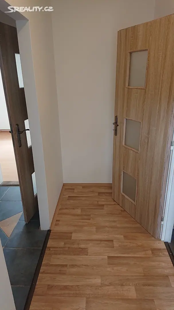Pronájem bytu 1+1 30 m², Konečná, Ústí nad Labem - Klíše