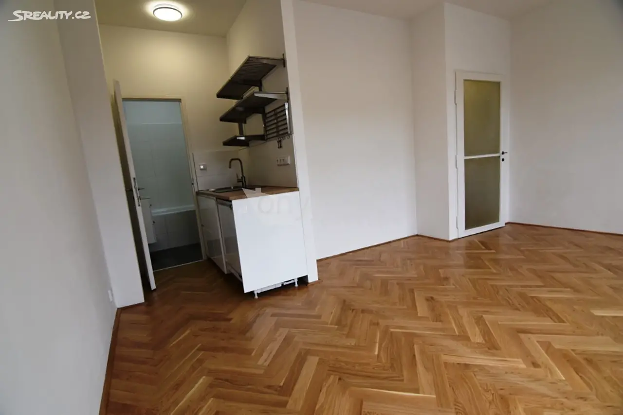 Pronájem bytu 1+kk 31 m², Vinařská, Praha 7 - Holešovice