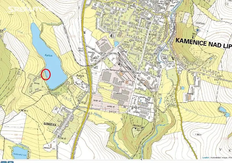 Prodej  lesa 597 m², Kamenice nad Lipou, okres Pelhřimov