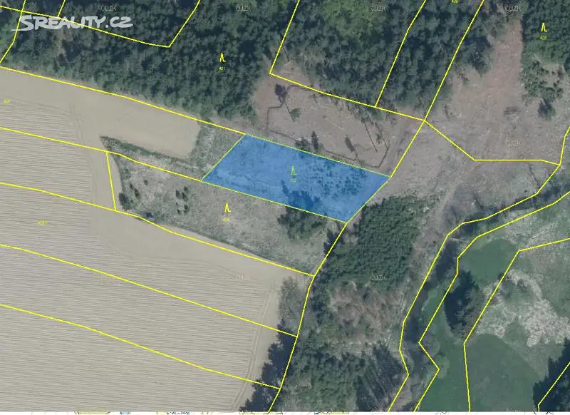Prodej  lesa 2 191 m², Pelhřimov - Lipice, okres Pelhřimov