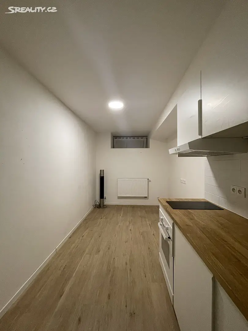 Pronájem bytu 1+kk 18 m², Pod vilami, Praha - Nusle
