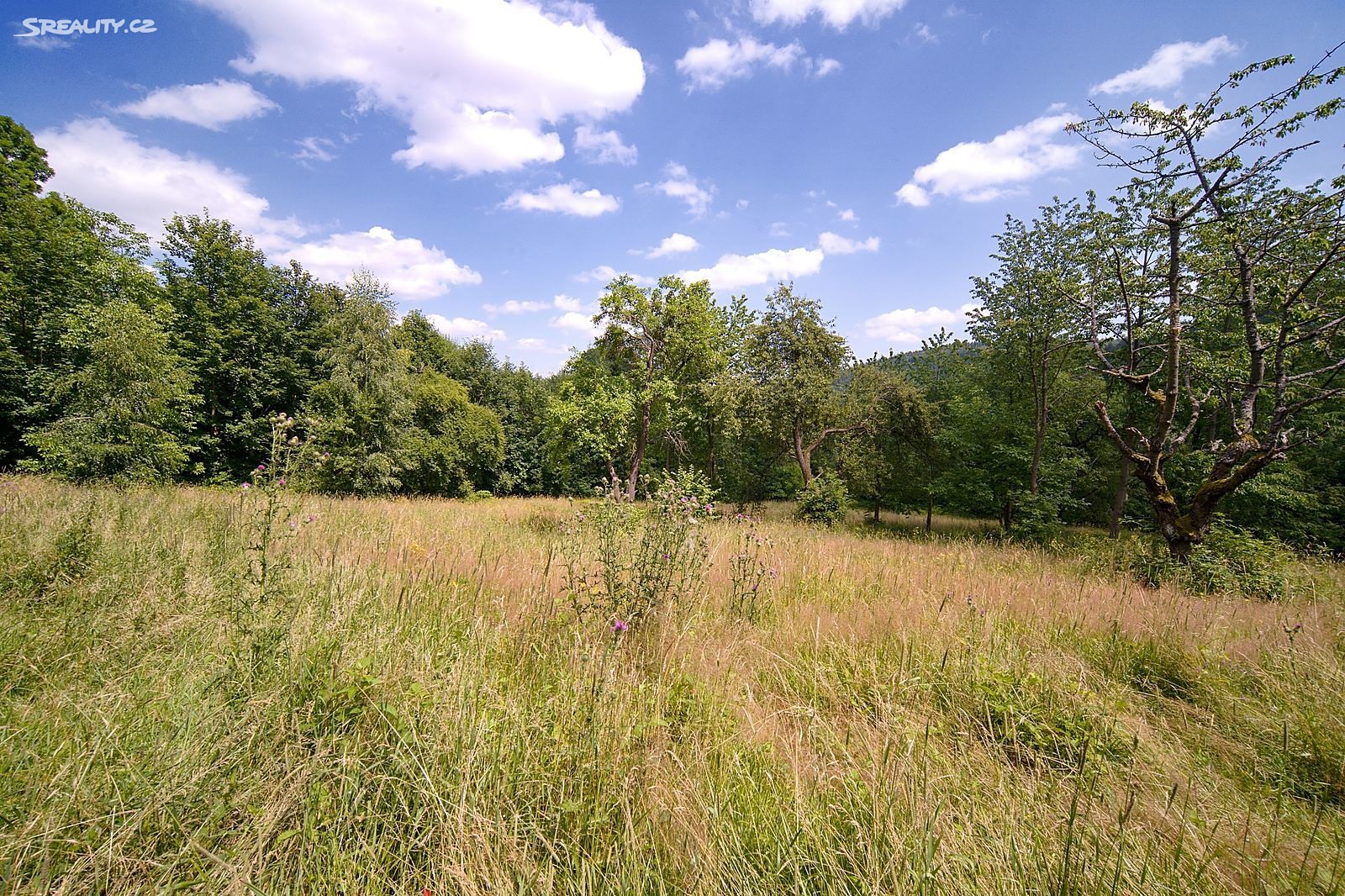 Prodej  projektu na klíč 106 m², pozemek 3 814 m², Běšiny - Hořákov, okres Klatovy