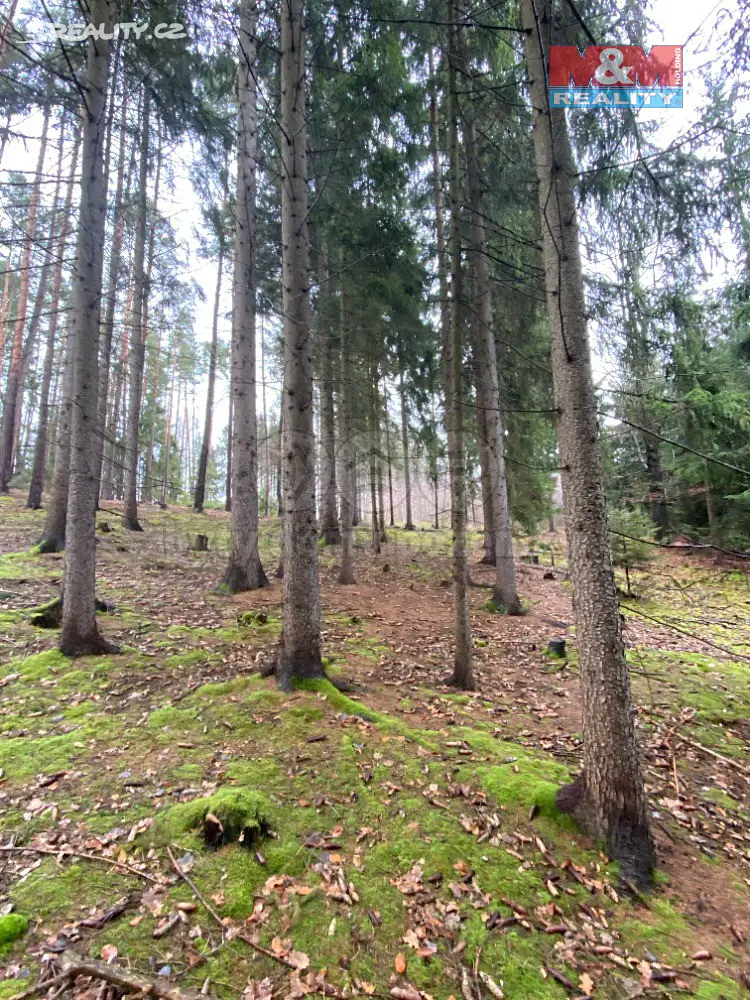 Prodej  lesa 5 043 m², Chýstovice, okres Pelhřimov