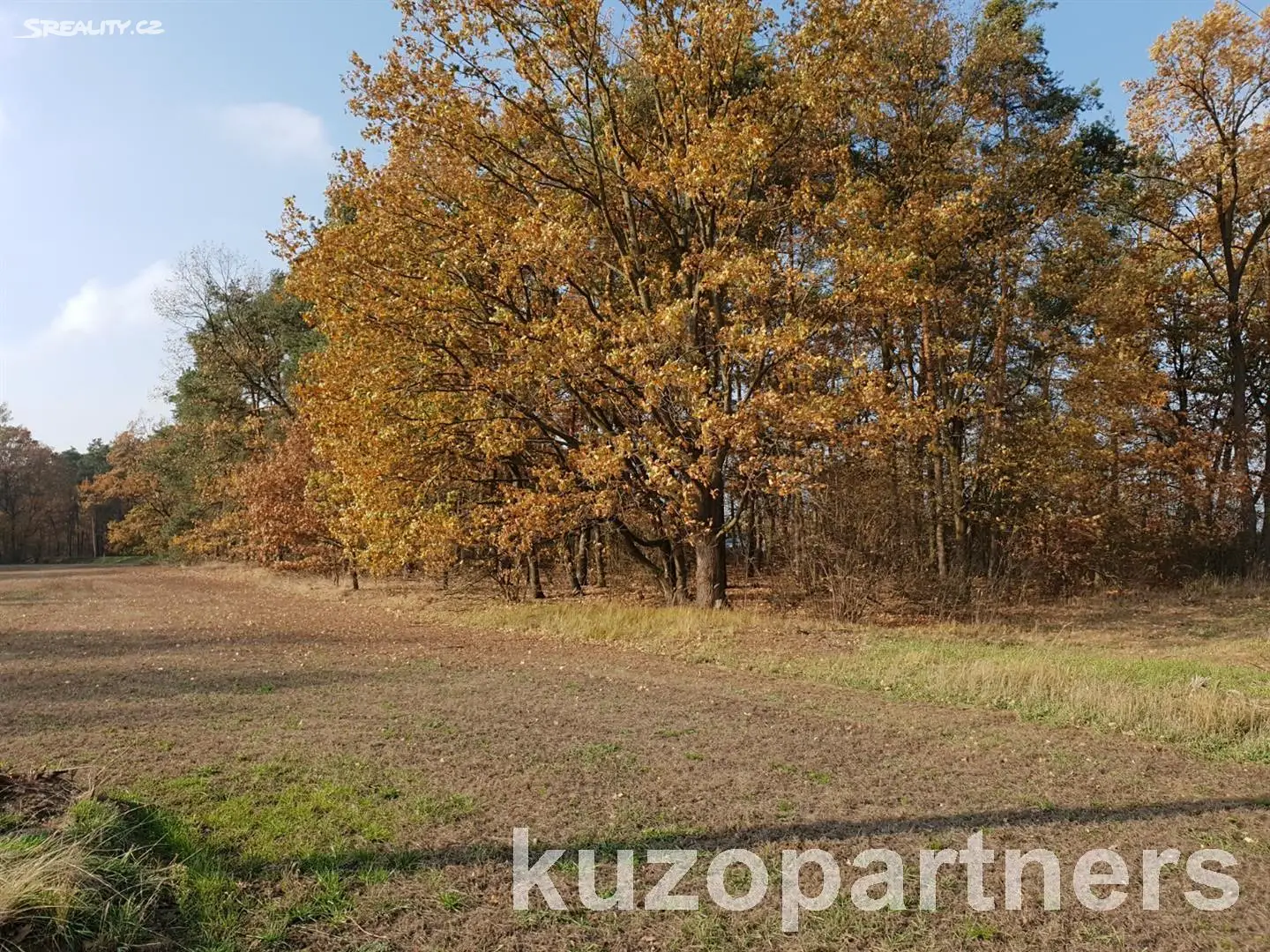 Prodej  lesa 6 002 m², Živanice, okres Pardubice