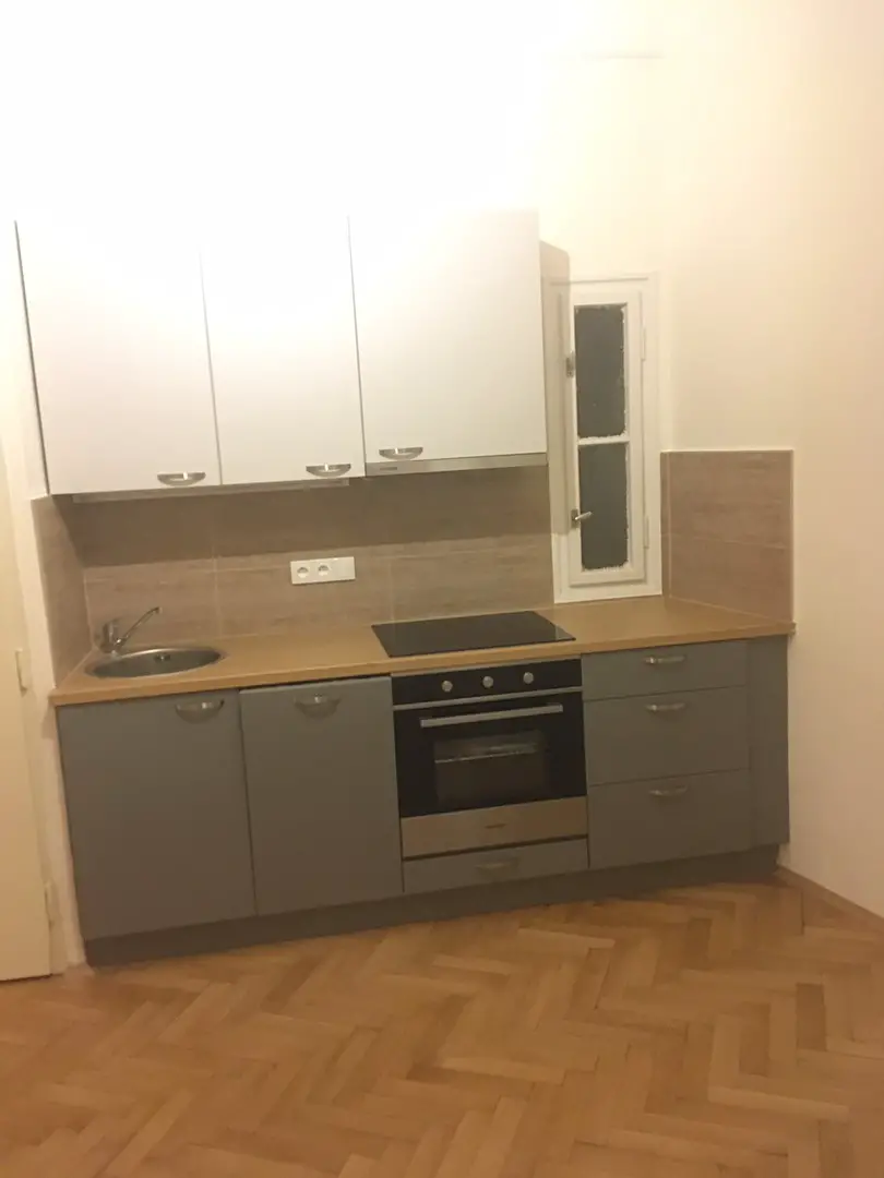 Pronájem bytu 1+1 64 m², Národní obrany, Praha - Bubeneč