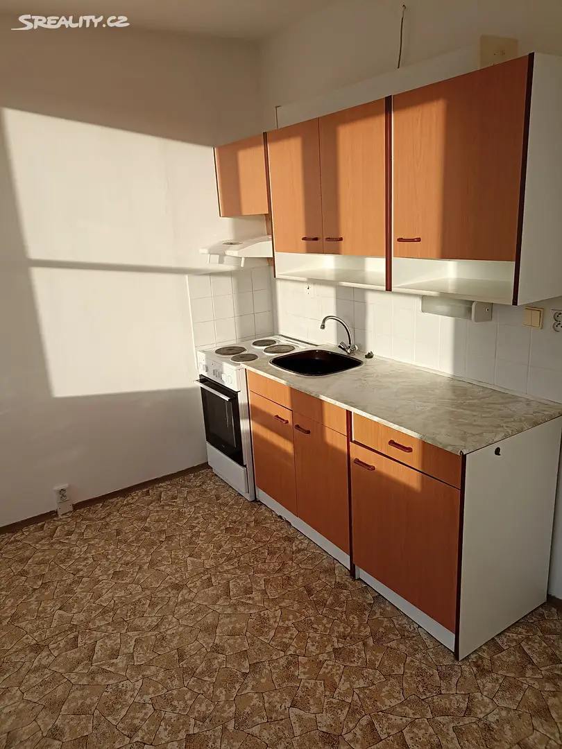 Pronájem bytu 1+kk 39 m², Dvořákova, Děčín - Děčín II-Nové Město