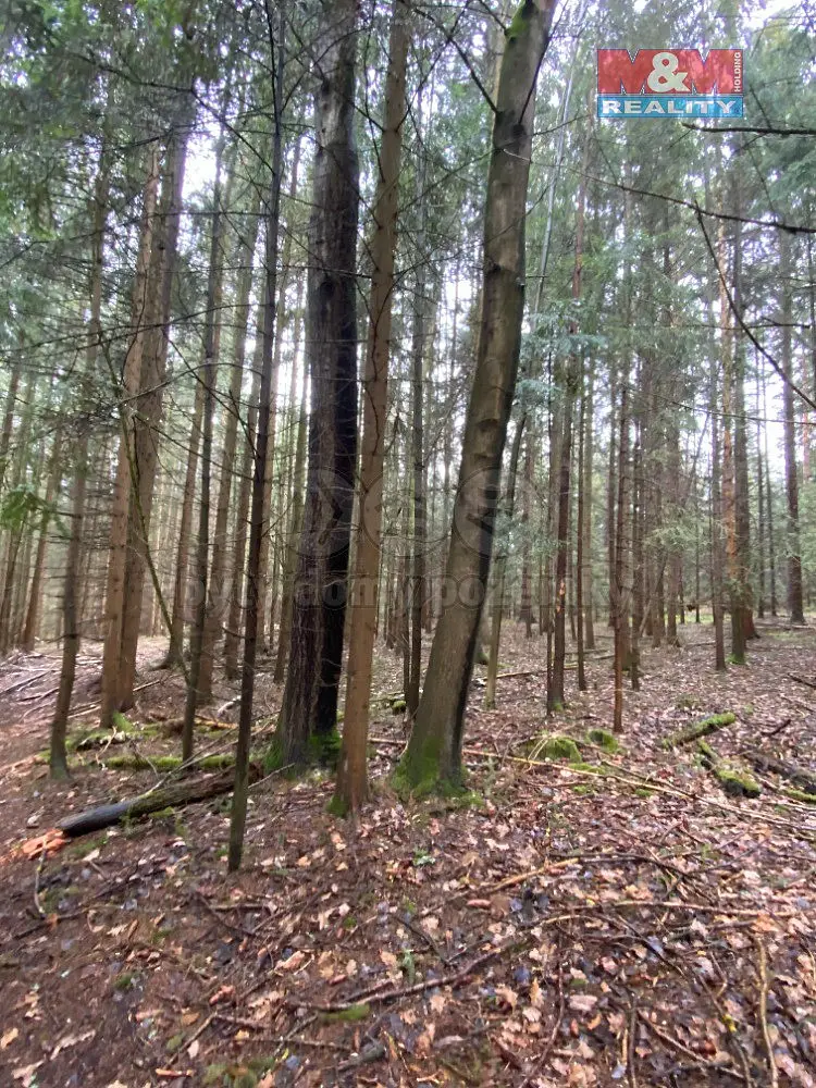 Chýstovice, okres Pelhřimov