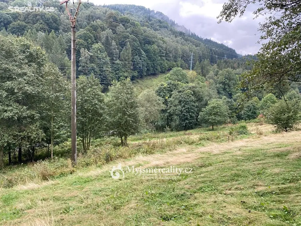 Prodej  stavebního pozemku 2 530 m², Zlaté Hory - Dolní Údolí, okres Jeseník