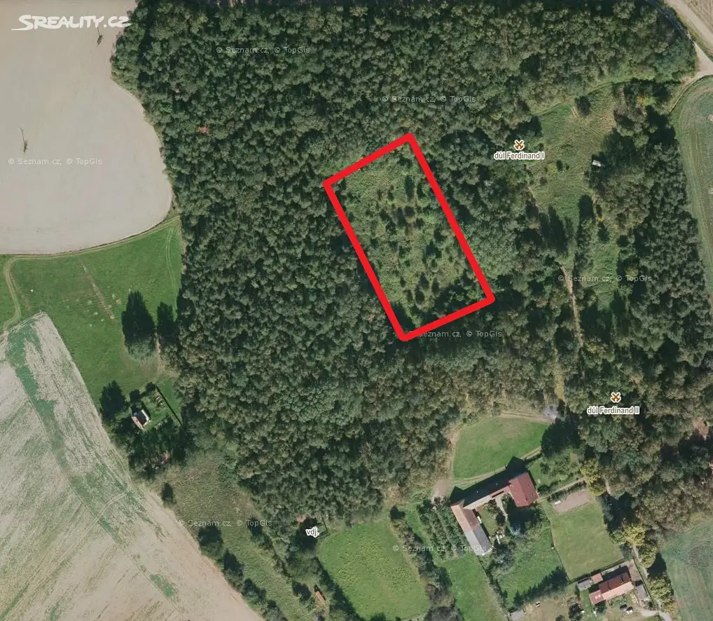 Prodej  lesa 6 488 m², Chomle, okres Rokycany