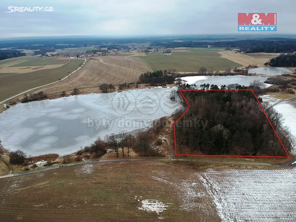 Prodej  lesa 26 976 m², Jindřichův Hradec - Matná, okres Jindřichův Hradec