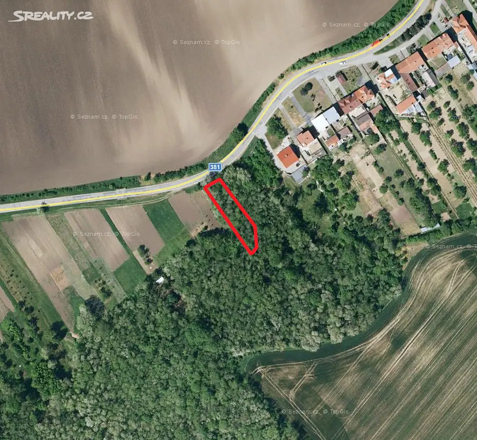 Prodej  lesa 591 m², Křepice, okres Břeclav