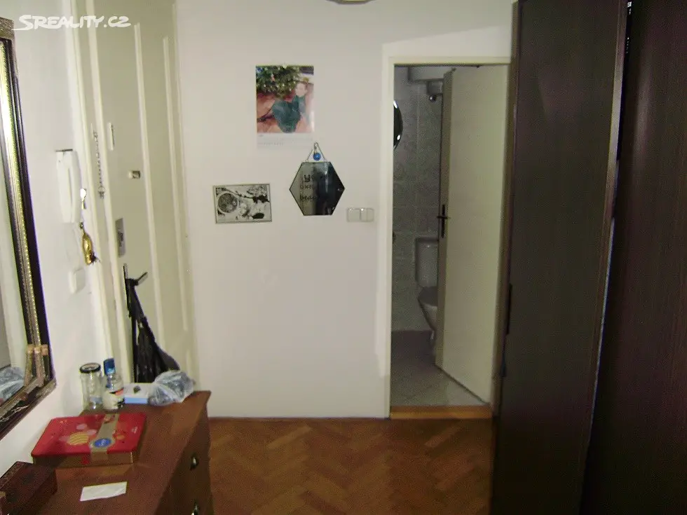 Pronájem bytu 1+1 42 m², Burešova, Brno - Veveří
