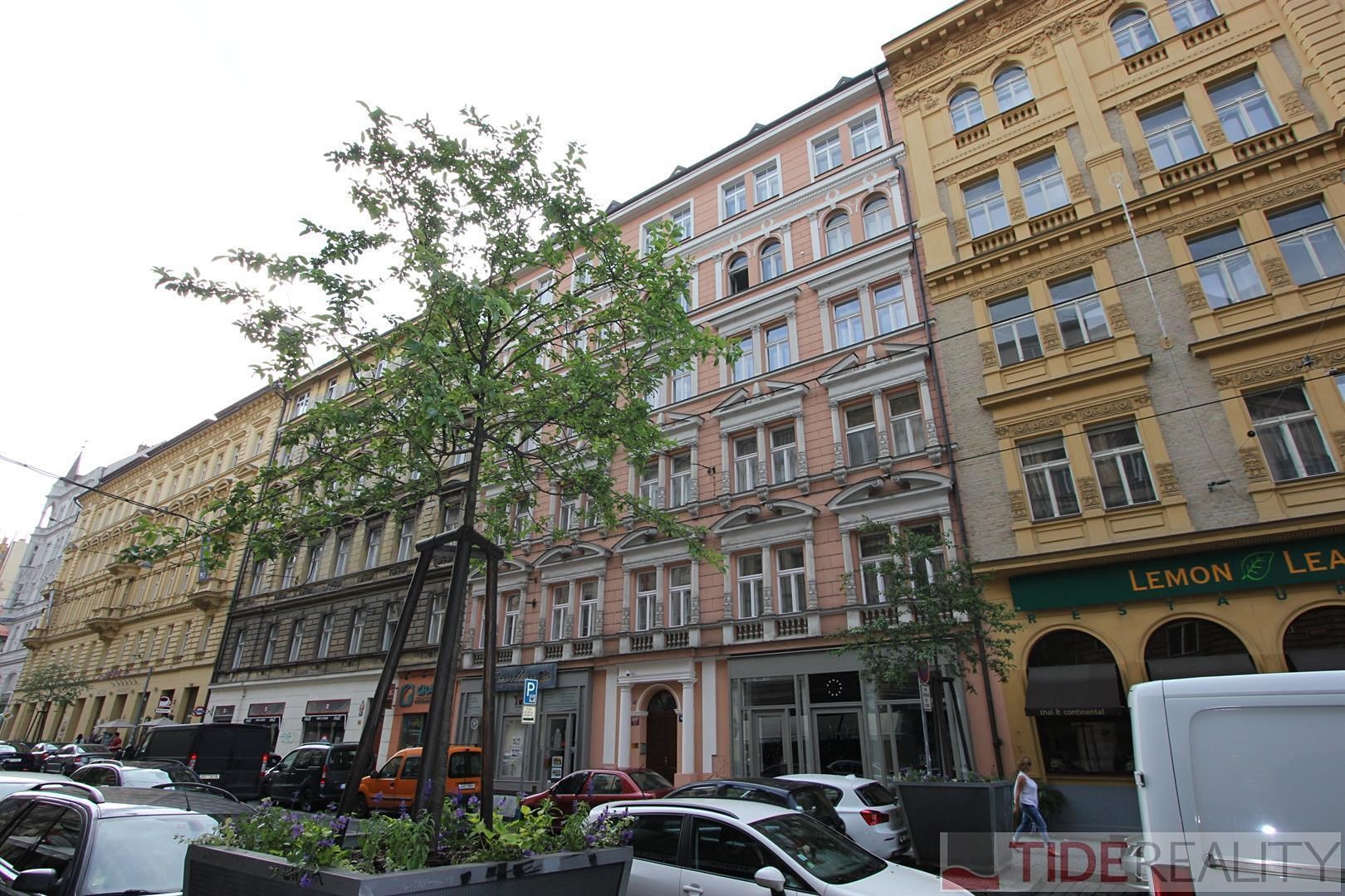 Pronájem bytu 2+1 70 m², Myslíkova, Praha 2 - Nové Město