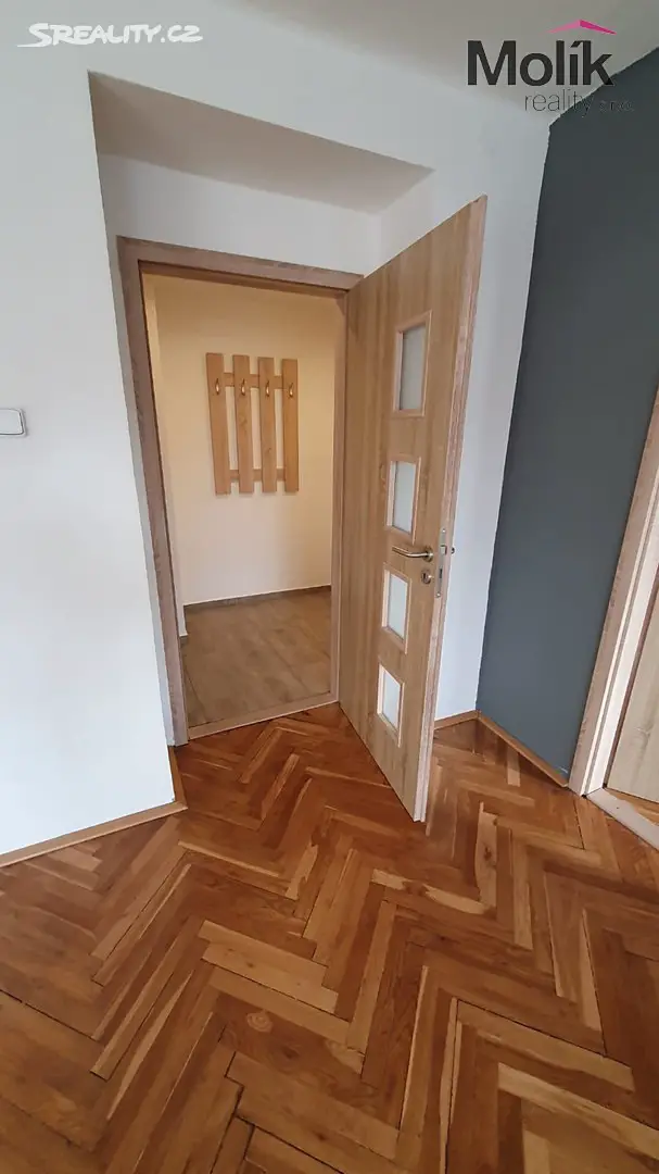 Pronájem bytu 2+1 55 m², Duchcovská, Teplice