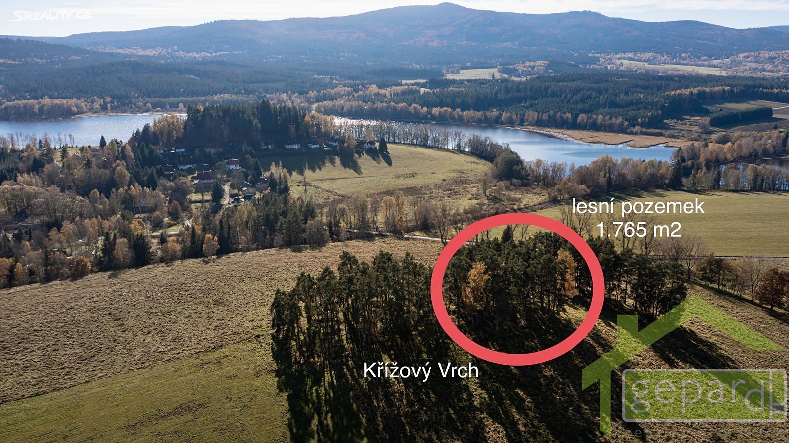 Prodej  lesa 26 973 m², Horní Planá, okres Český Krumlov