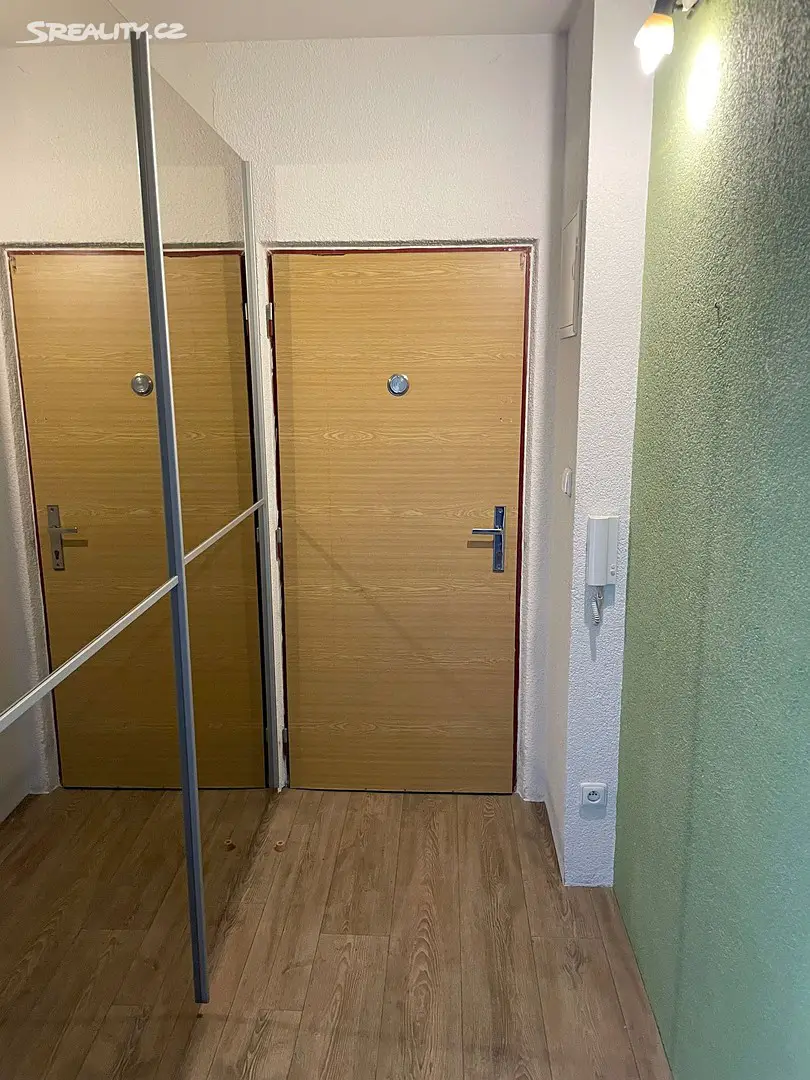 Pronájem bytu 2+1 49 m², Hodonínská, Plzeň - Severní Předměstí