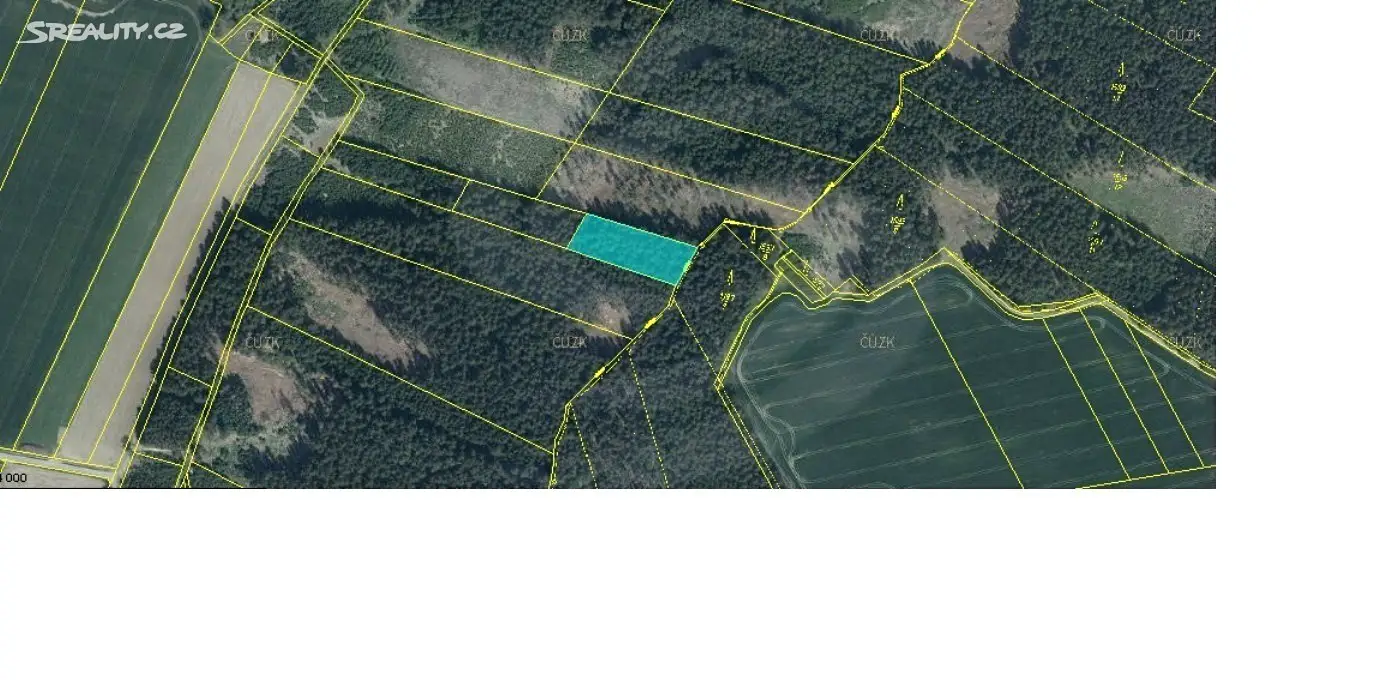 Prodej  lesa 3 689 m², Dolní Hořice - Pořín, okres Tábor