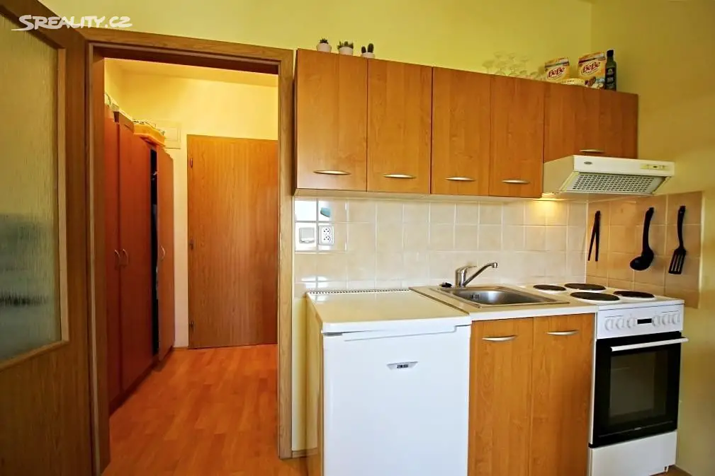Pronájem bytu 1+kk 23 m² (Podkrovní), Králova, Brno - Žabovřesky