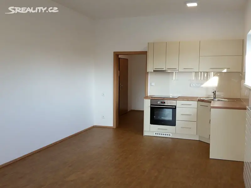 Pronájem bytu 1+kk 44 m², Švýcarské nábřeží, Olomouc - Nové Sady