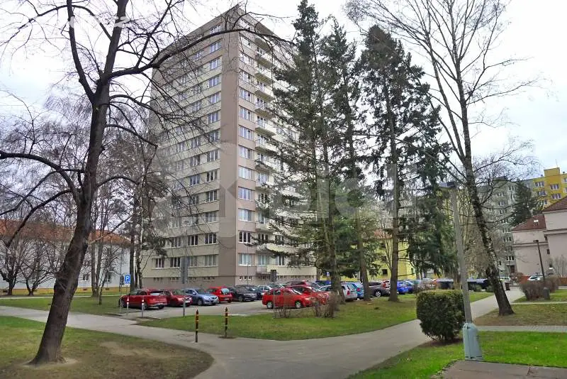 Pronájem bytu 3+1 60 m², Čéčova, České Budějovice - České Budějovice 3