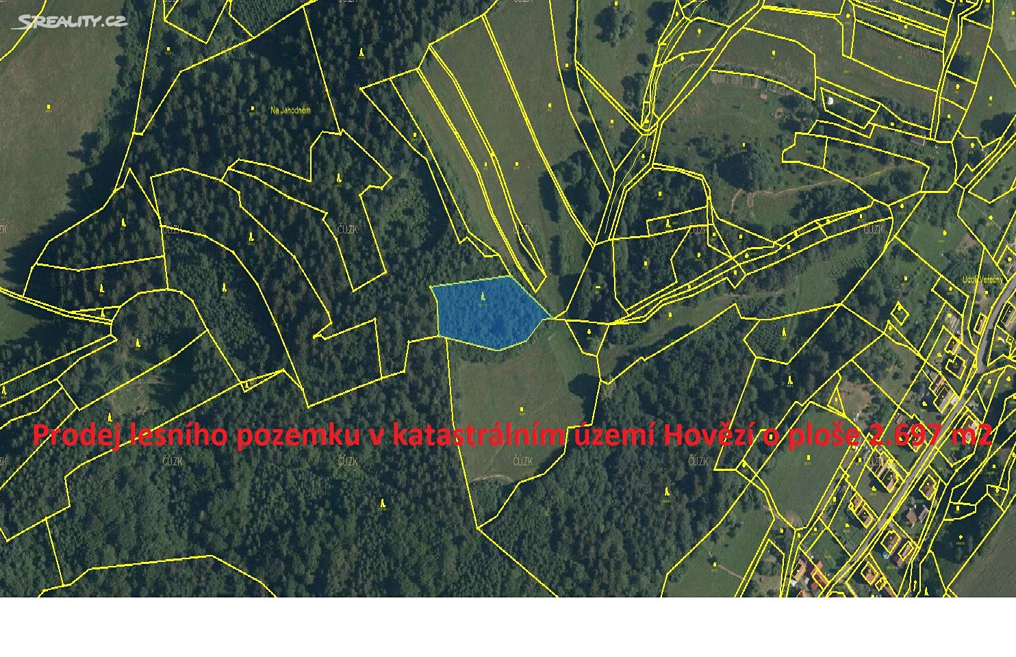 Prodej  lesa 2 697 m², Hovězí, okres Vsetín