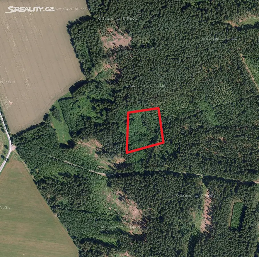 Prodej  lesa 6 019 m², Kamenice nad Lipou - Pravíkov, okres Pelhřimov