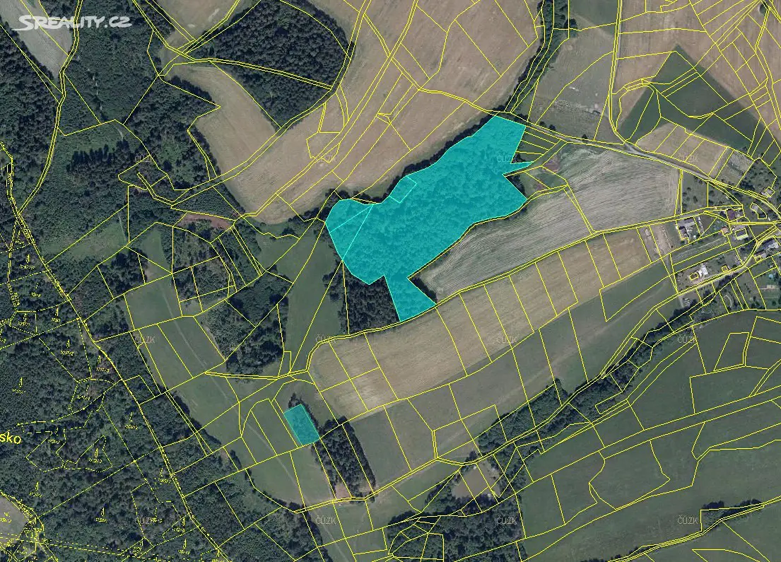 Prodej  lesa 2 750 m², Záhoří, okres Semily