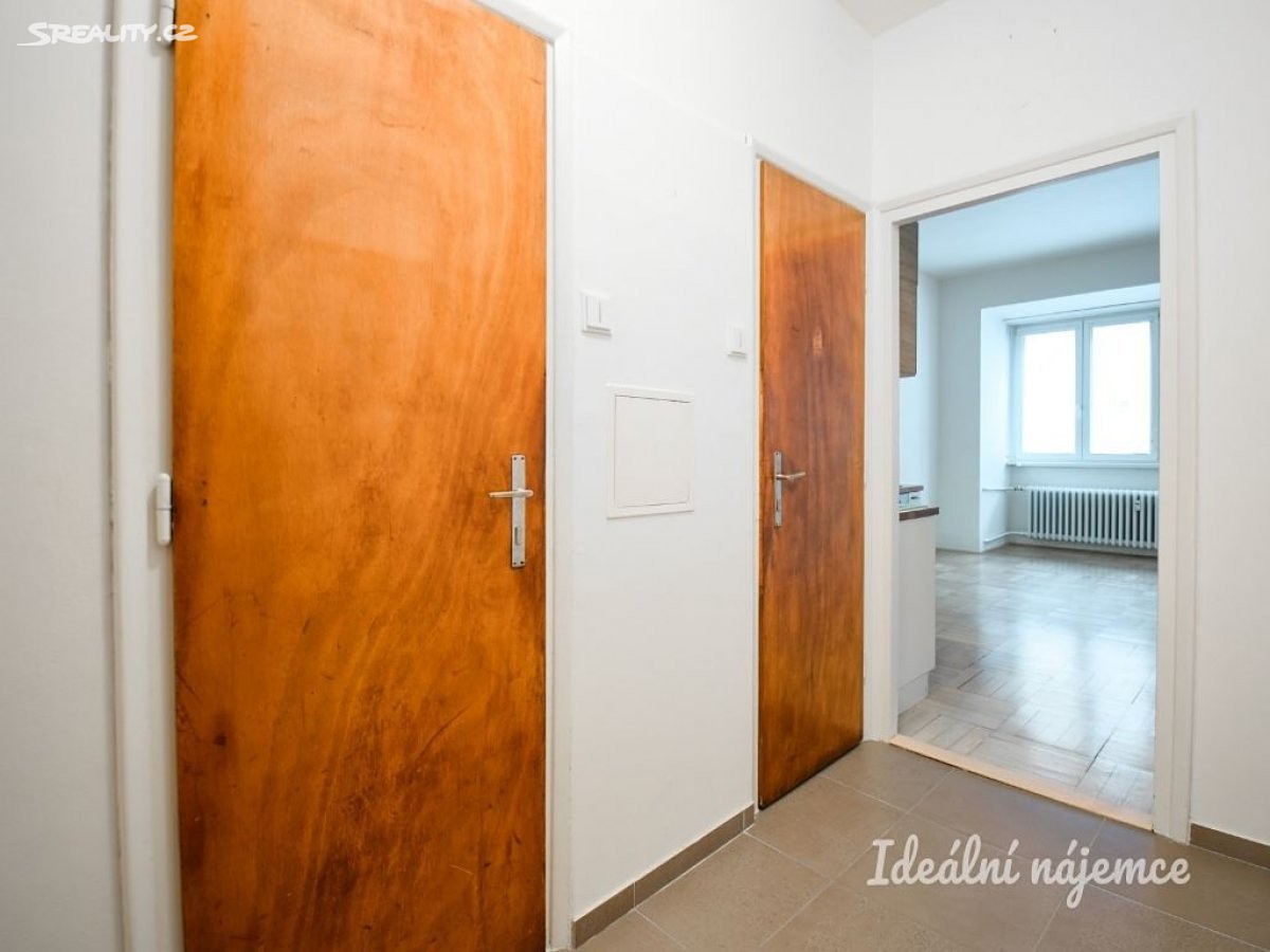 Pronájem bytu 2+kk 45 m², Tučkova, Brno - Veveří