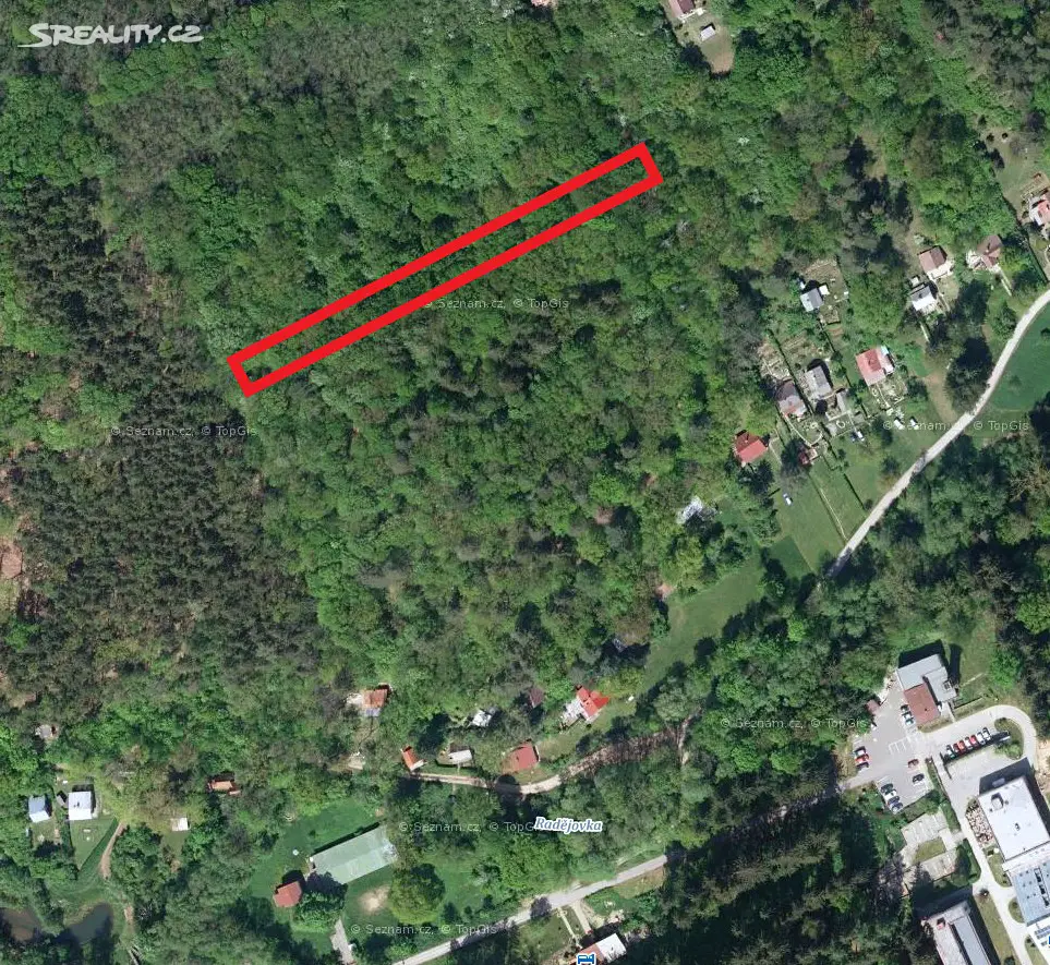 Prodej  lesa 953 m², Kněždub, okres Hodonín
