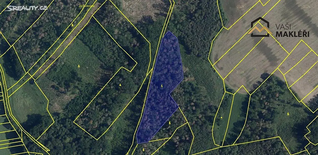 Prodej  lesa 10 891 m², Svatý Mikuláš, okres Kutná Hora