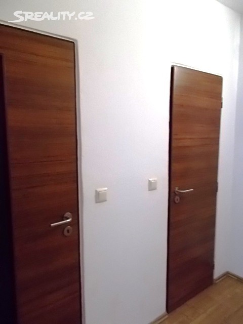 Pronájem bytu 1+kk 31 m², Souhrady, Brno - Bohunice