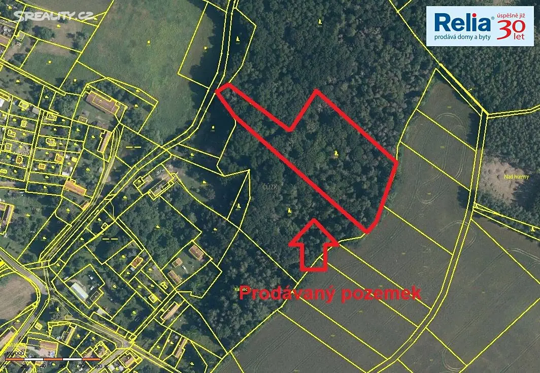 Prodej  lesa 11 088 m², Kasalice, okres Pardubice