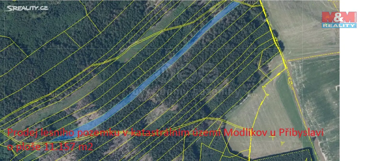 Prodej  lesa 11 157 m², Modlíkov, okres Havlíčkův Brod
