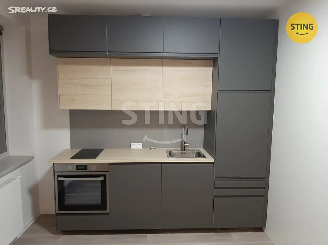 Pronájem bytu 1+kk 40 m², Lorencova, Zlín