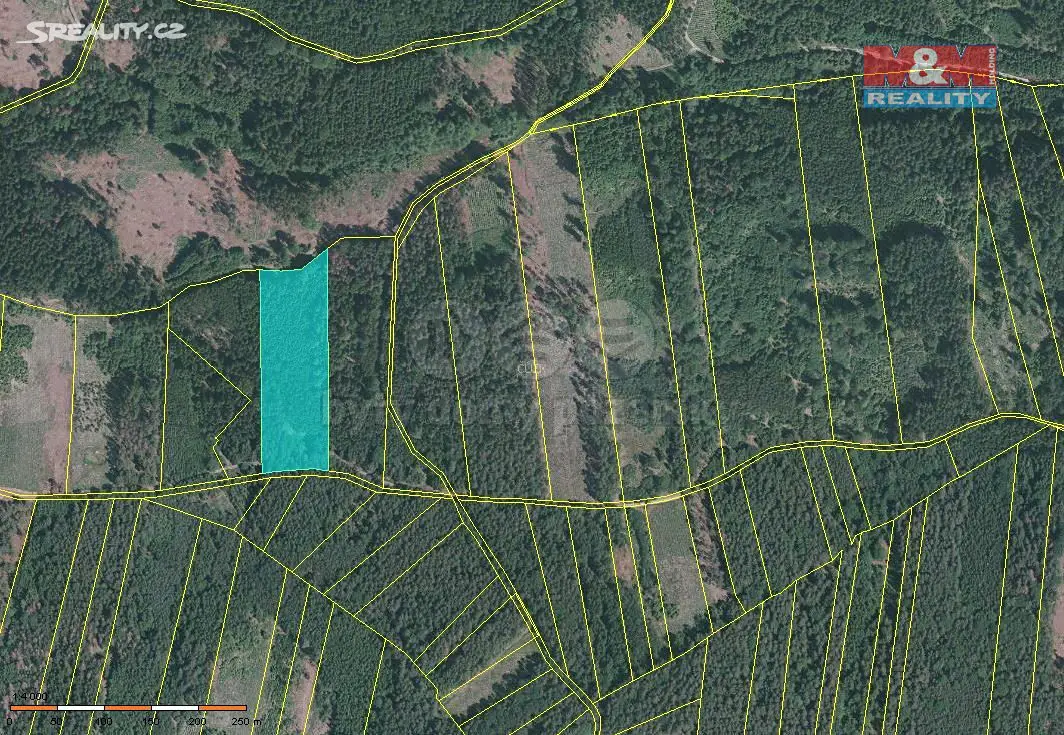 Prodej  lesa 175 881 m², Jetětice, okres Písek