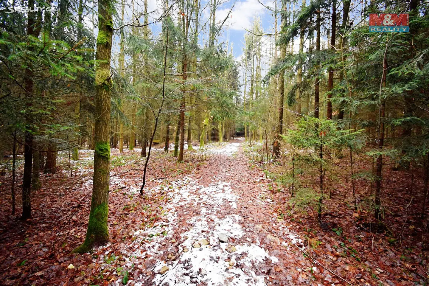 Prodej  lesa 30 280 m², Semechnice, okres Rychnov nad Kněžnou