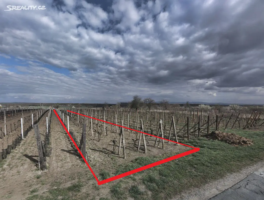 Prodej  sadu, vinice 1 867 m², Ratíškovice, okres Hodonín