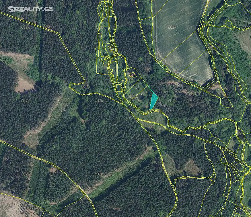 Prodej  lesa 939 m², Brzice, okres Náchod