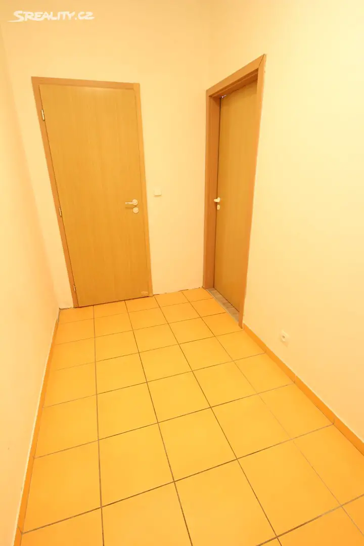 Pronájem bytu 2+kk 41 m², Komenského, Šestajovice