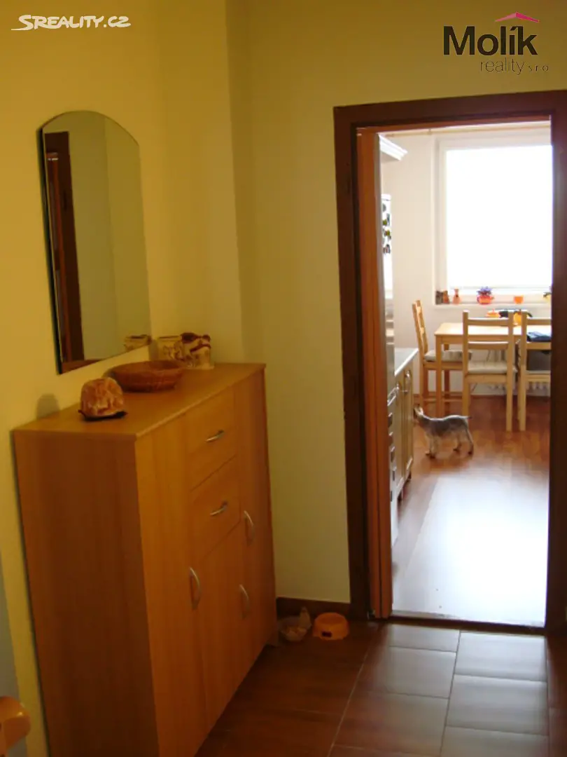Pronájem bytu 4+1 80 m², Bohosudovská, Teplice - Trnovany