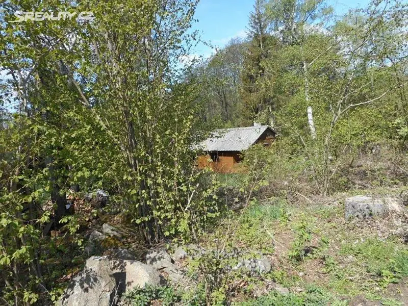 Prodej  lesa 1 387 m², Vanůvek, okres Jihlava